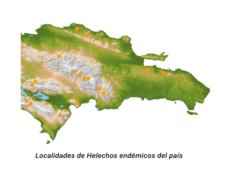 localidades pteridofitas